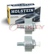 2 pc Holstein Ignition Knock Detonation Sensors for 2001-2006 GMC Sierra wd