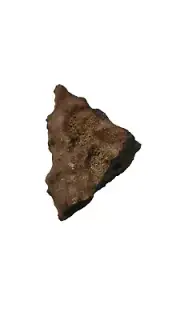 Coprolite Fossilized Poo Pliestocene Pliocene Megafauna Petrified Poop