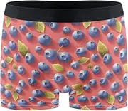 [FRODOTGV] Blueberries Mens Boxer Briefs Shorts Running Underwear for Men Compression Interiores Para Hombres