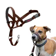 Halti Headcollar Dog Deep Walnut