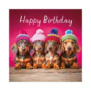 Hammond Gower Happy Birthday Sausage Dogs With Beanies Card - 15.5x15.5cm