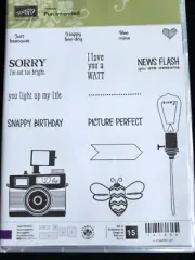 Stampin’ Up! PUN INTENDED (15) Stamps Set-New/Retired-Phrases,Camera,Bee