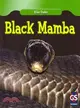 Black Mamba