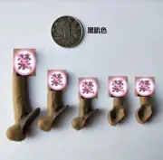 E2-08 5PC 1/6 Scale Male Genital Organ JJ Penis Model for 12" Phicen Body Figure