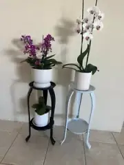 Pair of black and white plant stands indoor 50 cm tall