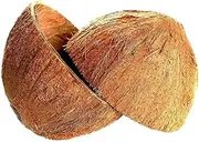Sri Care Natural Coconut Bowl Halves Coconut Shell for handicraft or pet feeder and candle maker and Christmas and Halloween decorations (2, with fiber)