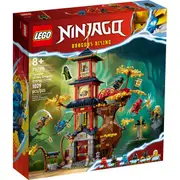 LEGO 71795 - Ninjago Temple of the Dragon Energy Cores