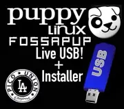 Puppy Linux Bootable USB Fast OS Runs from Ram even old PCs Browser + Save State