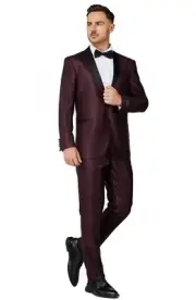 Men's Suit Pants Tuxedo Blazer Burgundy Shiny 2Pc Slim Fit Shawl Lapel #0408