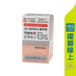 人生製藥 渡邊維他命B6 80粒 【躍獅線上】