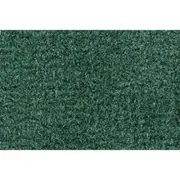 Front Light Jade Green Cutpile 1 Piece Floor Mat for GM Pickup Truck (for: Chevrolet)