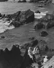 Japanese Ama pearl divers on Mikimoto Pearl Island in Ise Bay offs- Old Photo