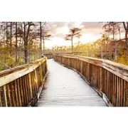 Save 15.00%! Everglades Immersion Tour: The Ultimate Everglades Adventure