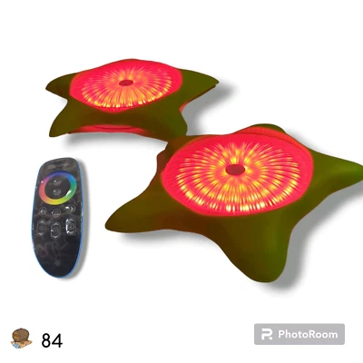 2-Pack RGB Starfish Pool Lights 15W Submersible LED Light with Remote
