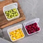 Cheese Slice Storage Box Refrigerator Onion Ginger Garlic Fruit Fresh-Keeping SL