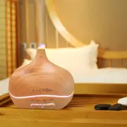 Alcyon Ultrasonic Diffuser Kuri