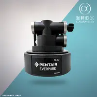 在飛比找蝦皮購物優惠-【澄軒飲水】原廠PENTAIR QL2U濾頭適用EVERPU