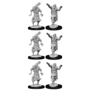 3x 2pc Dungeons & Dragons Nolzur's Marvelous UNP Minis Scarecrow & Stone Cursed