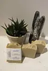 UNSCENTED - Moisturizing Lard Tallow Handmade - Goat Milk Bar Soap, wt. 4oz