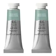 2x Winsor & Newton 14ml Professional Watercolour Artist Paint Terre Verte S1
