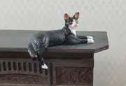 Dollhouse Kitty Cat Tuxedo Black White Shelf Sitter Leg Down 1:12 Scale