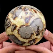 Natural Sphere Septarium Dragon Stone Septarium Crystal Sphere Ball Healing