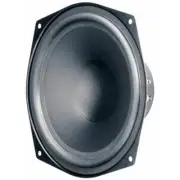 Visaton WS20E-8 8" Poly Cone Woofer 8 Ohm