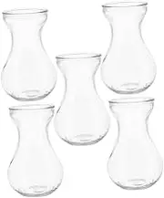 BIUDECO 5pcs Glass Flower Vase Hydroponic Desktop Planter for Home Decor Compact Floral Container for Table Centerpiece Elegant Hyacinth Vase for Office Decoration
