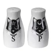 Magic Black Cats Salt & Pepper Shaker Set. WITCHY. FREE SHIPPING!