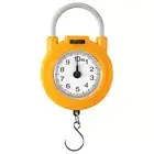 10KG Digital Spring Scale 0.1KG Fishing Scale with Hook Convenient Kitchen Tool