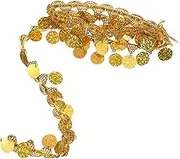 Angoily Sparkling Sequin Fringe Trim for DIY Clothing Versatile Costume Trim Yards of Decorative Embellishment for Scarves Wraps and Accessories