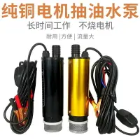 在飛比找樂天市場購物網優惠-電動抽油泵12v24伏通用小型接電瓶抽水泵家用抽油神器機自吸