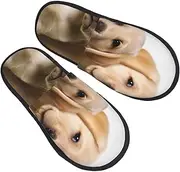 [STVYUKL] Women'S Fuzzy Slippers Soft Cozy Non-Slip House Slippers Cute Warm Funny Labrador Puppy Dog Home Shoes For Indoor Outdoor Bedroom, Black, X-Large Wide