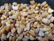 Pea size Natural Aquarium Gravel Substrate 5 Lbs Bags FREE SHIPPING