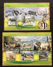 Deers / Le Renne / Cerv / Cervo / Animals / Fauna / Nature - CTO - P2