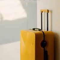 在飛比找有設計U design優惠-ITO｜GINKGO3 行李箱24寸＋收納包S/M/L號 x