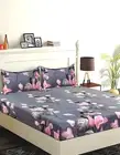 GC Printed Fitted All Round Elastic Double Bedsheet with 2 Pillow Cover