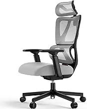 ProtoArc Ergonomic Office Chair with Wheels, Mesh Computer Chair with Adjustable Arms and Headrest Adaptive Lumbar Support for Home Office Desk Chair with Wheels EC 100 (Grey)