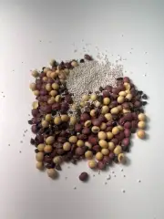5 lbs. The Velvet Table Cowpeas Buckwheat Soybeans Ladino Clover Food Plot