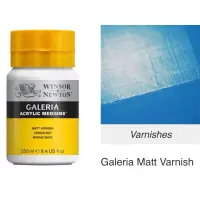 在飛比找蝦皮購物優惠-WINSOR & NEWTON GALERIA Matt V