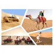 Save 20.00%! Doha Private Desert Safari 4 Hours up to 5 Pax