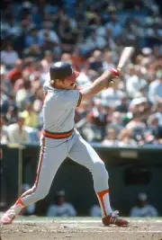 Bobby Grich California Angels bats v the Baltimore Orioles at an M- Old Photo 1