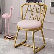 Professional Makeup Chair with Backrest Stylish Wrought Iron Vanity Chair featuring Bow Design Ideal for Bedroom Living Room and Kitchen (Color: Blush Pink)