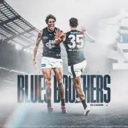 Carlton blues team player photo ,BARGAIN,,afl football