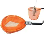 Derwrtup Fish Nets for Fishing | Hook-Proof Adjustable Fishing Landing Net | Portable Lightweight Small Telescopic Fish Net Landing Net Anti Slip for Easy Catch Safe Fish Catching