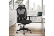 Advwin Ergonomic Mesh Office Chair Adjustable Headrest Lumbar Support and Armrest
