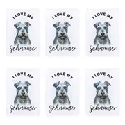 6x Splosh Pet Lovers Schnauzer 7cm Acrylic Magnet Home Fridge Decor White