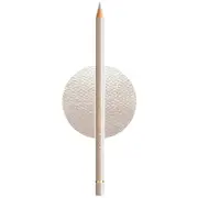 Faber-Castell Polychromos Pencil Warm Grey II 271