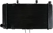 Rynplex Motorcycle Aluminum Radiator Cooling Cooler, for GK75A GSF400 1991-1994 1993 1992 Motorcycle Engine Radiator