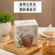 【曼寧花草茶】 豐穀蕎麥茶 6公克x15茶包 /盒(無咖啡因) ｜官方直營